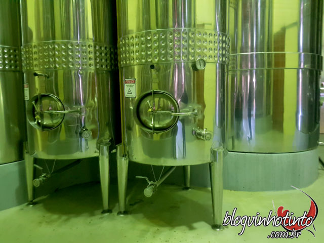 Visitei os tanques de elaboração de vinhos...
